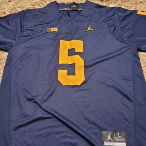 Jordan Men's Michigan Size Large Jersey